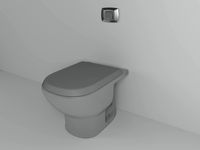 Toilet bowl