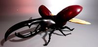 Red Hercules Beetle