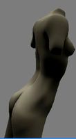 Female body