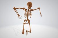 Skeleton Running