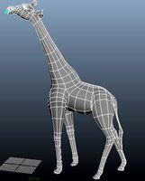 Big Giraffe