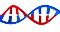 DNA DOUBLEHELIX