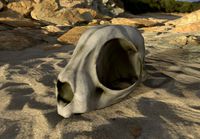 3D Real Cat Skull for GameDev
