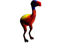 Dorito Bird