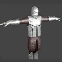 Medieval Swordman