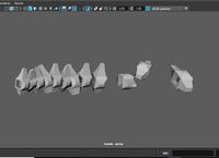 Dragon Bones (vertebrae)