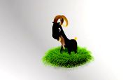 GOAT / / 3DP Animation Studio