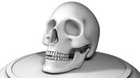 Skull