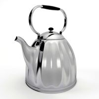Large Classic Nickel Plated Kettle