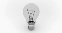 Incandescent Light Bulb