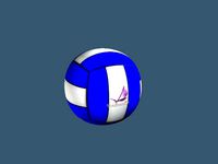 Volley Ball 1.1