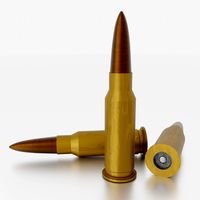 Bullet