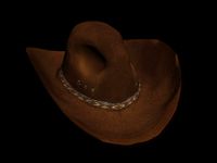 cowboy hat