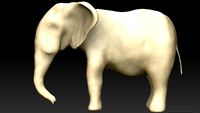 Indian Elephant Base-mesh 3D model