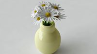 daisy flower