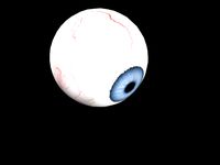 eye