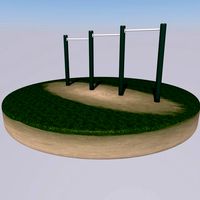 bars exercise