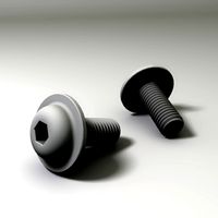 Socket screw