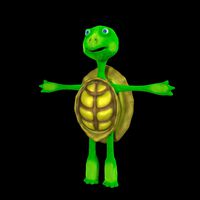 Turtle