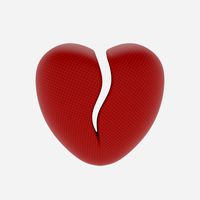 Broken Heart