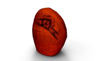Rock