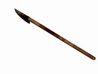 Spear
