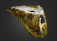 Mountain Rock HD Scan