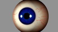 Eye
