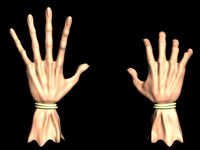 Monster Hand