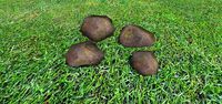 Small Ground Rock Pack 2