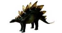 Stegosaurus