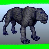 tiger
