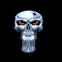 Skull