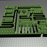 HedgeMaze