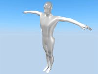 Human Body Male Low-Poly Without Textures Default Template