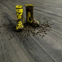 Rain Boots