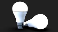 Bulb