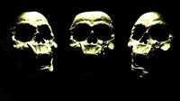 HD-Skull
