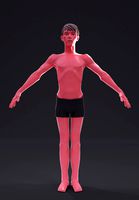Stylized Guy