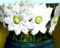 Daisies in a Vase