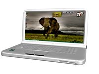 Toshiba Laptop