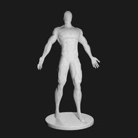 Human Marble Statue