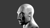 Human Head