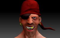 Pirate bust