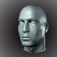 Head