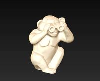 blind monkey 008