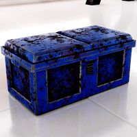 Case