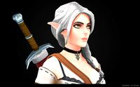 ELF WITCHER Rigged - Valenrhien HANDPAINTED