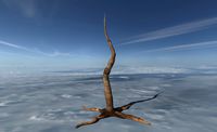 Lonely Tree