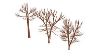autumn tree set